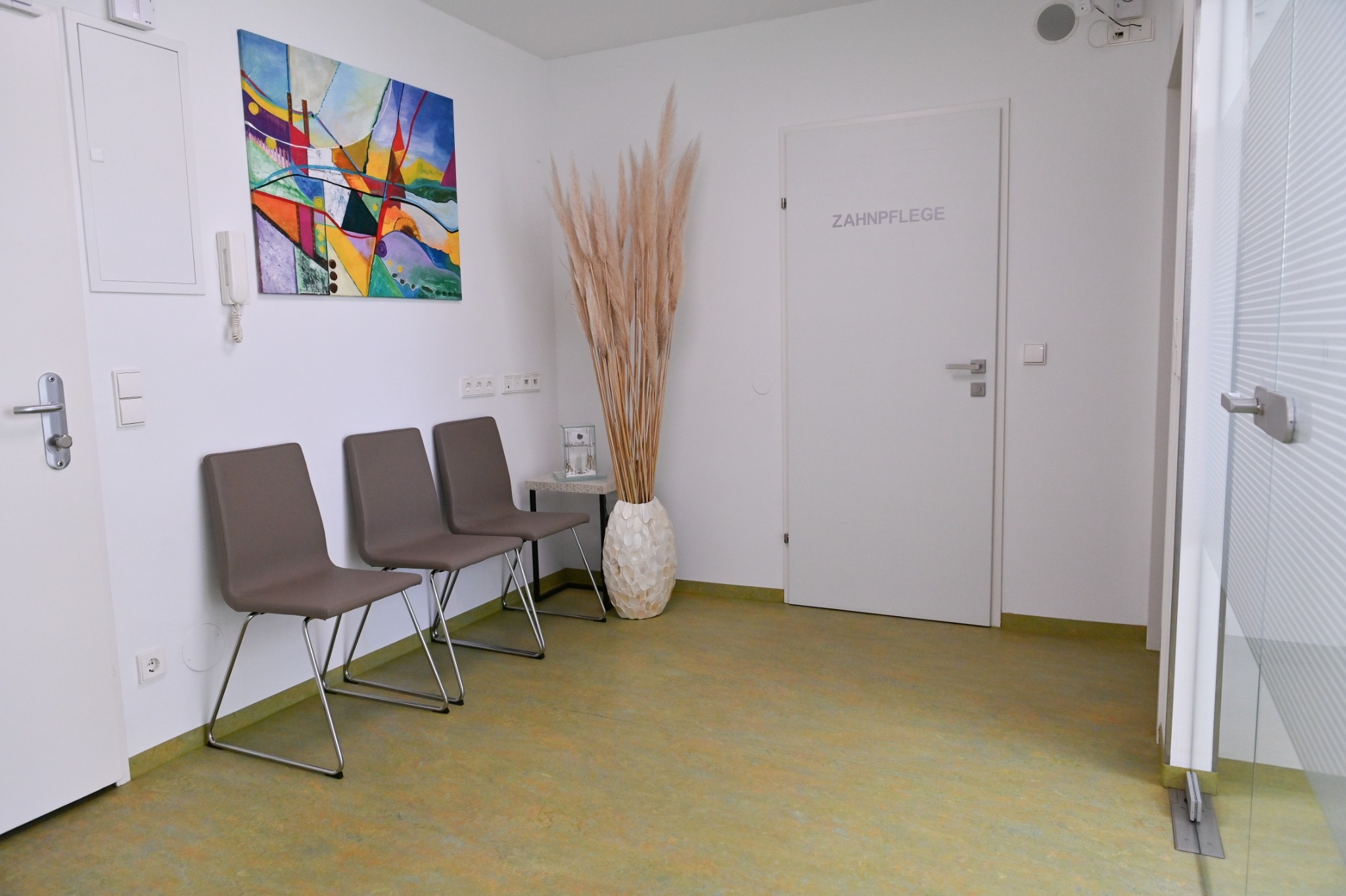 VIDEN_113_compressed